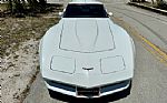 1981 Corvette Thumbnail 28