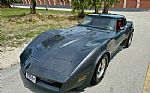 1981 Corvette Thumbnail 21