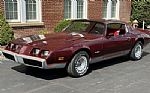 1981 Pontiac Firebird