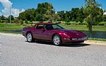 1993 Corvette Thumbnail 59