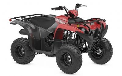 Photo of a 2025 Yamaha Grizzly 110 for sale