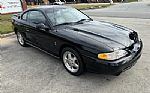 1994 Mustang Cobra Coupe Thumbnail 68