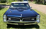 1967 GTO Thumbnail 5