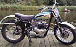 1960 BSA A10 Spitfire Scrambler