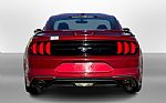 2019 Mustang Thumbnail 4