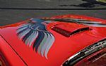 1979 Trans Am Thumbnail 6