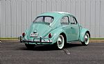 1963 Beetle Thumbnail 3