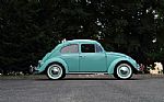 1963 Beetle Thumbnail 2