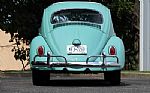 1963 Beetle Thumbnail 5