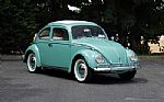 1963 Beetle Thumbnail 6