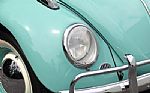 1963 Beetle Thumbnail 9