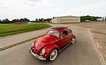 1957 Beetle Thumbnail 6