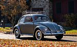 1957 Beetle Thumbnail 6