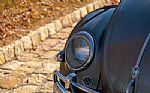 1957 Beetle Thumbnail 9