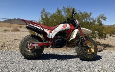 Photo of a 1986 Yamaha BW200E for sale