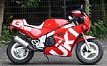 1986 Suzuki RB50