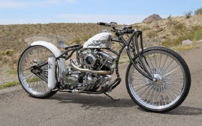 Photo of a 2025 Aero Precision Dirty Nickel Custom for sale