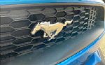 2019 Mustang Thumbnail 8