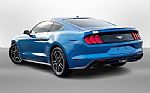 2019 Mustang Thumbnail 10