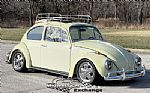 1969 Beetle Thumbnail 2