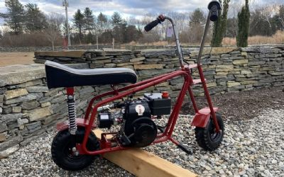 Photo of a 1970 Bird Chopper Mini Bike for sale