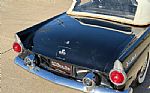 1955 Thunderbird Thumbnail 42