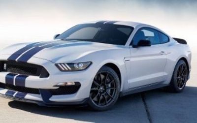 Photo of a 2019 Ford Mustang Shelby GT350 for sale