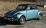 1979 Beetle Thumbnail 1