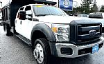 2013 F-550 XL Thumbnail 3