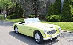 1959 Austin Healey 100-6