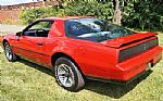 1984 Firebird Thumbnail 9