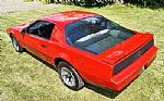 1984 Firebird Thumbnail 8