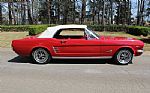 1966 Mustang Thumbnail 12