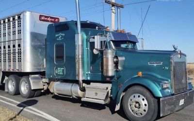 Photo of a 2007 Kenworth W900L Semi-Tractor for sale