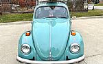 1968 Beetle Thumbnail 14