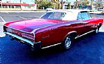 1966 GTO Thumbnail 12