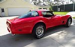 1981 Corvette Thumbnail 11