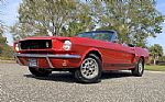 1966 Mustang Convertible GT350 Trib Thumbnail 1