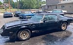 1979 Trans Am Thumbnail 2