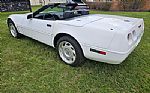 1992 Corvette Thumbnail 10