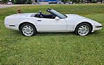 1992 Corvette Thumbnail 14