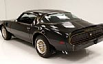 1981 Trans Am Bandit Special Editio Thumbnail 3