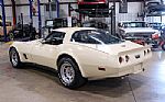 1981 Corvette Thumbnail 5