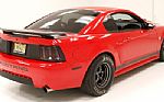 2004 Mustang Mach 1 Thumbnail 5