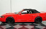 2004 Mustang SVT Cobra Convertible Thumbnail 2