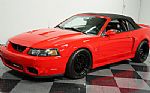 2004 Mustang SVT Cobra Convertible Thumbnail 5