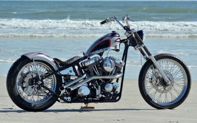 Photo of a 2021 Harley Davidson Custom Motorcycle for sale