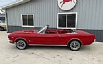 1966 Mustang CV Thumbnail 3