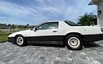 1983 Firebird Trans Am Thumbnail 2