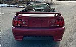 2004 Mustang Thumbnail 4